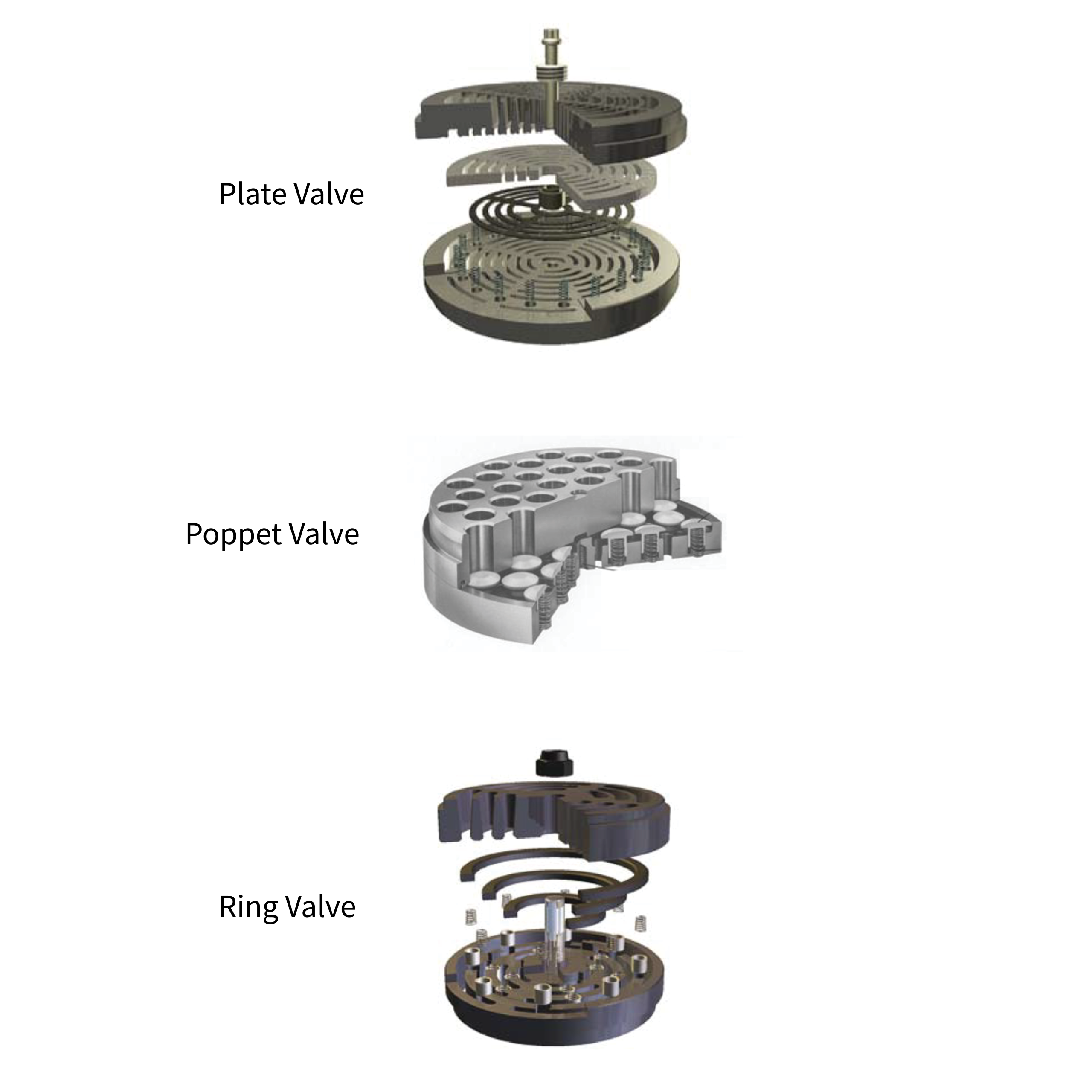 Plate Valve, Poppet Valve and Ring Valve views
